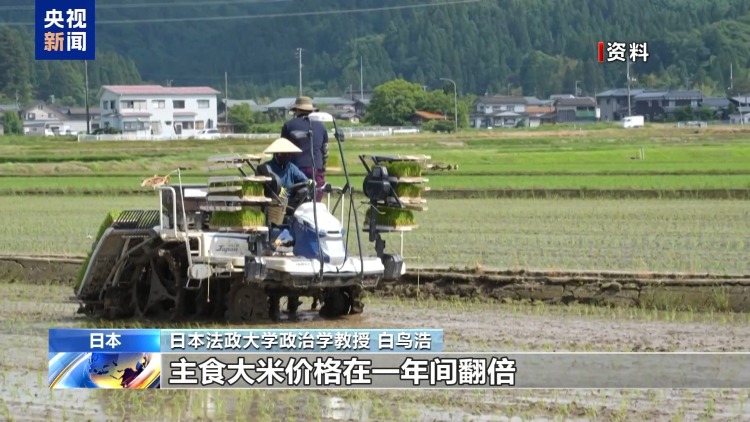 日本参议院选举拉开帷幕 专家：石破内阁或将面临严峻挑战