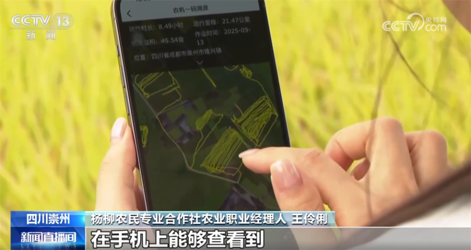 稻谷黄、果飘香 “良种良技”与“合作社+农户”模式绘就秋日好“丰”光
