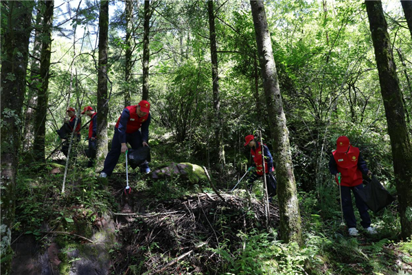 State Grid Shennongjia Holds Environmental Awareness Event for National Ecology Day_fororder_图片10