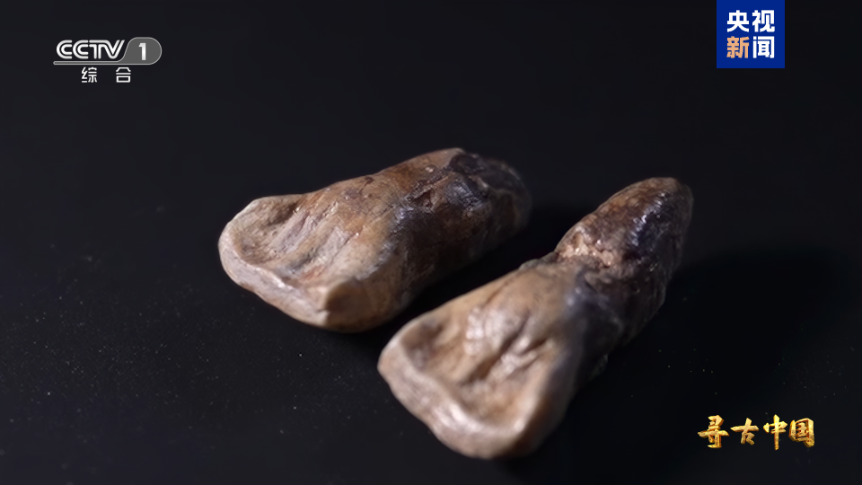 揭秘百万年人类史！《寻古中国·东方人类百万年》开播