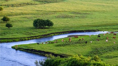 内蒙古牙克石：免渡河国家湿地公园景色如画