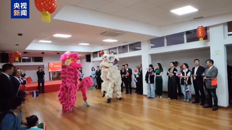 精彩纷呈 热闹非凡 我驻多国使领馆举办新春招待会