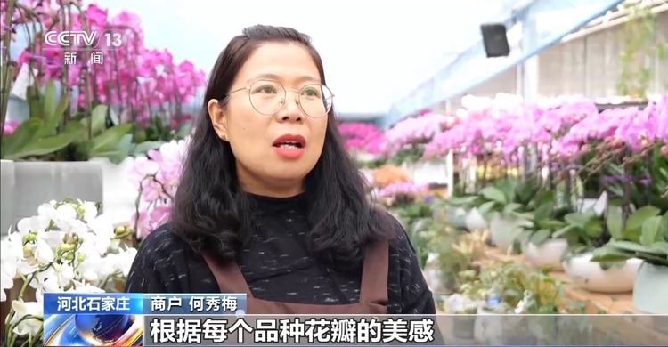 新年“好市”多！非遗集市人气旺 创意年宵花热销中
