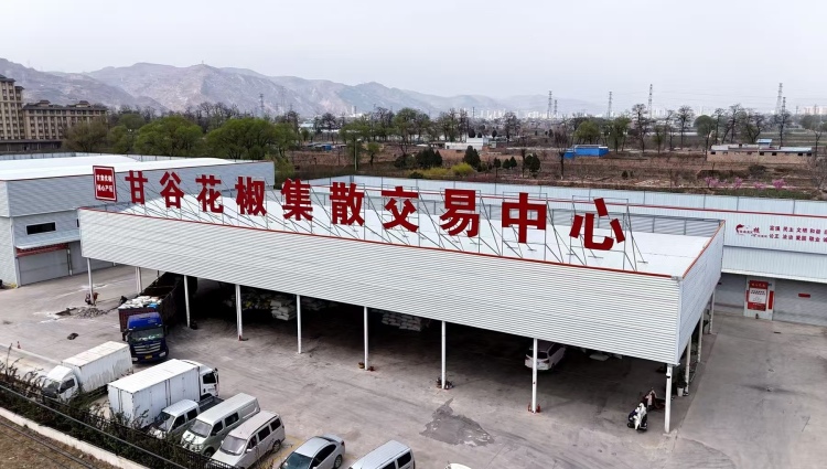 天水甘谷：花椒产业再扩新“赛道” 小嫩芽撬动乡村大发展_fororder_33
