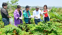 千年药香淬炼新动能——解密邵阳中医药产业全链发展模式