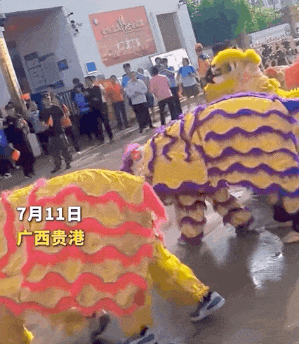 视频丨“鸡鸭鱼猪都被冲走了，也想把最好的送给你们”