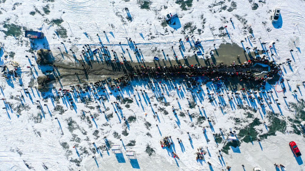 镜观·回响丨生态美，旅游兴——查干湖的绿色交响