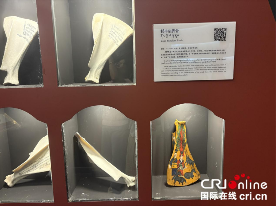 辉煌60年·我们的家园丨西藏牦牛博物馆：铭记牦牛驼载的西藏历史和文化_fororder_f2e4b6fd2b53d9c931e4488d6a8b95b3537