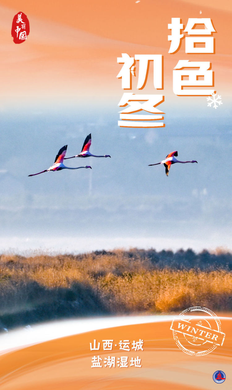 海报｜美丽中国·拾色初冬