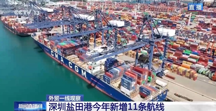 平均每天10班船驶向欧美 从深圳盐田港看中国外贸“加速度”