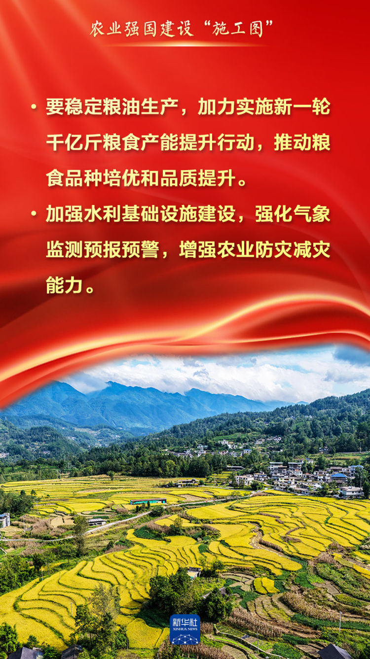 2026年农业强国建设，“施工图”来了！