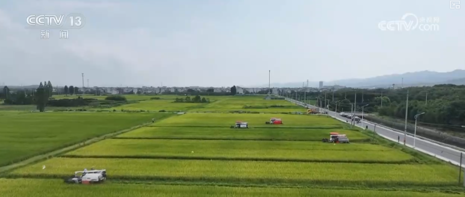 更牢、更实、更足、更稳、更亮……关键词里透视乡村振兴“成绩单”