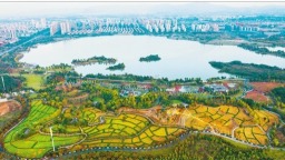 金华开发区修复湖海塘生态提升城市品质