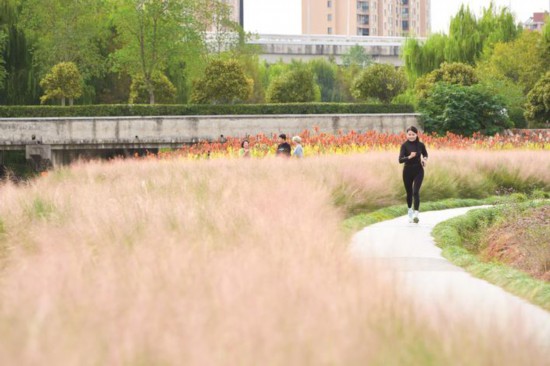 图片默认标题_fororder_15778108964421304460