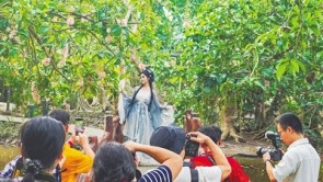 儋州七里村：玉蕊花香引游人