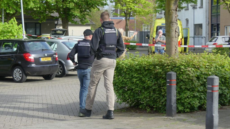 荷兰芬洛市发生一起枪击事件 致1人死亡