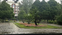 小满时节喜雨至 甘肃多地迎降水缓解旱情