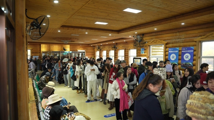 内蒙古大兴安岭迎“金色秋天”，生态旅游持续火爆_fororder_等乘森林小火车的游人络绎不绝