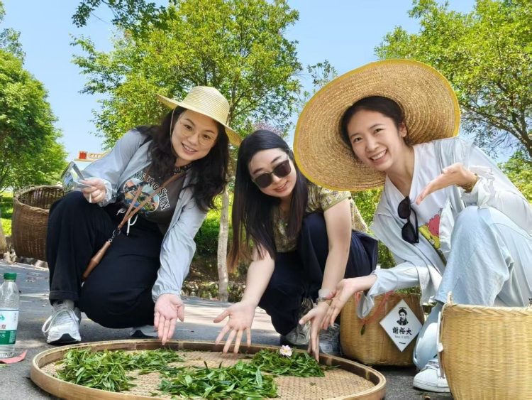 黄山市徽州区：徽韵融古今 文旅绽芳华_fororder_茶文旅图片2