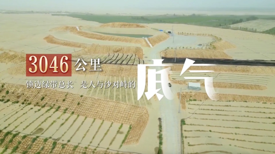 砥砺奋进七十载 天山南北谱华章 | 千万亩绿 数十载功