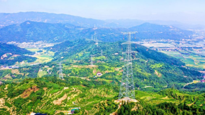 High-Quality Power Supply Empowers Wenzhou, Zhejiang, in Building a National Hub for New Energy Production Capacity