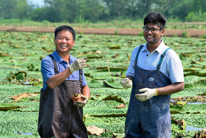 International Student Explores Green Secrets of "Agrophotovoltaics" in Euryale Ferox Fields_fororder_图片35