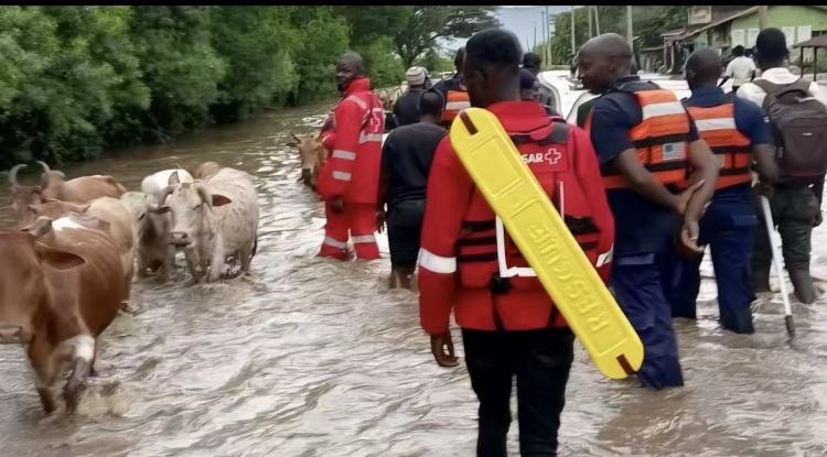 肯尼亚洪灾已致88人死亡