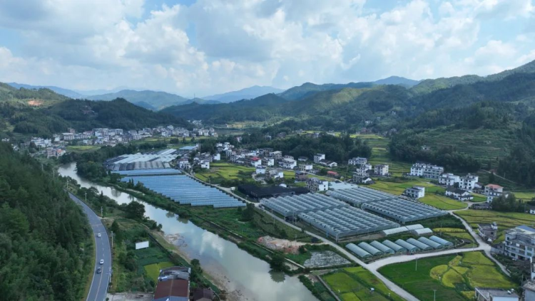 湖南桂东村厨赛事激活产业链 高山蔬菜俏销大市场_fororder_图片4