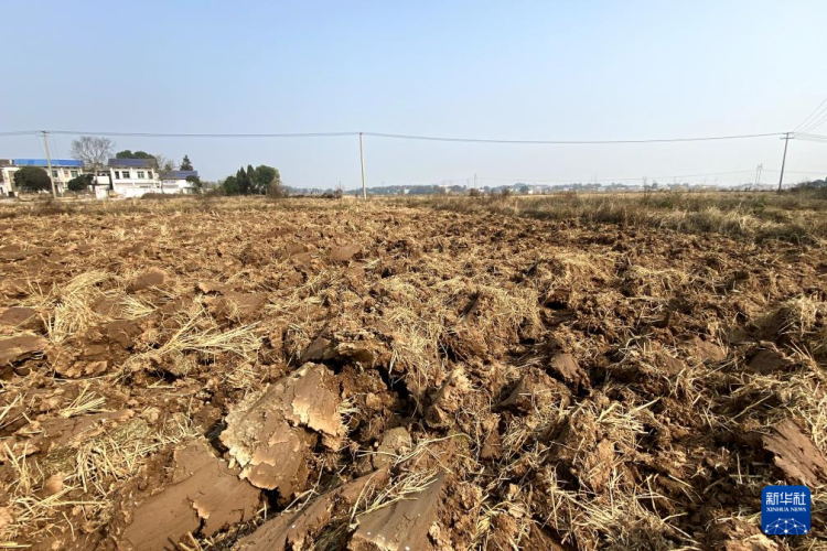 四中全会精神在基层|湖南浏阳：一亩耕地的“生长”