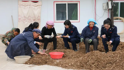 甘肃定西：税惠助力中医药全产业链“强筋壮骨”