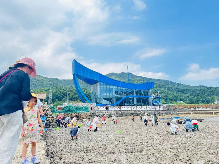 半岛渔乡的三件新鲜事
