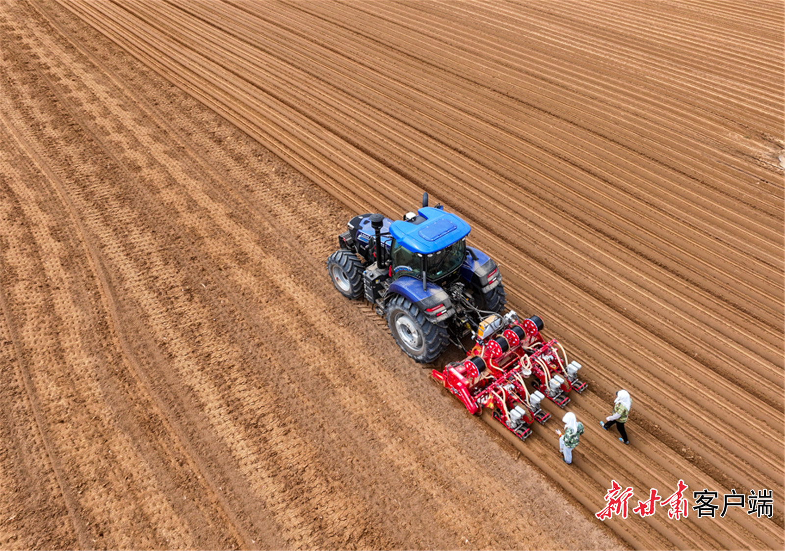 武威古浪：轮作复种让沃野“再生金”_fororder_1