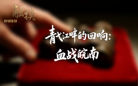 触摸 | 青弋江畔的回响：血战皖南_fororder_图片3