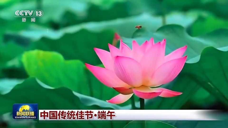 文化中国行丨浓浓家国情 一起传承端午习俗