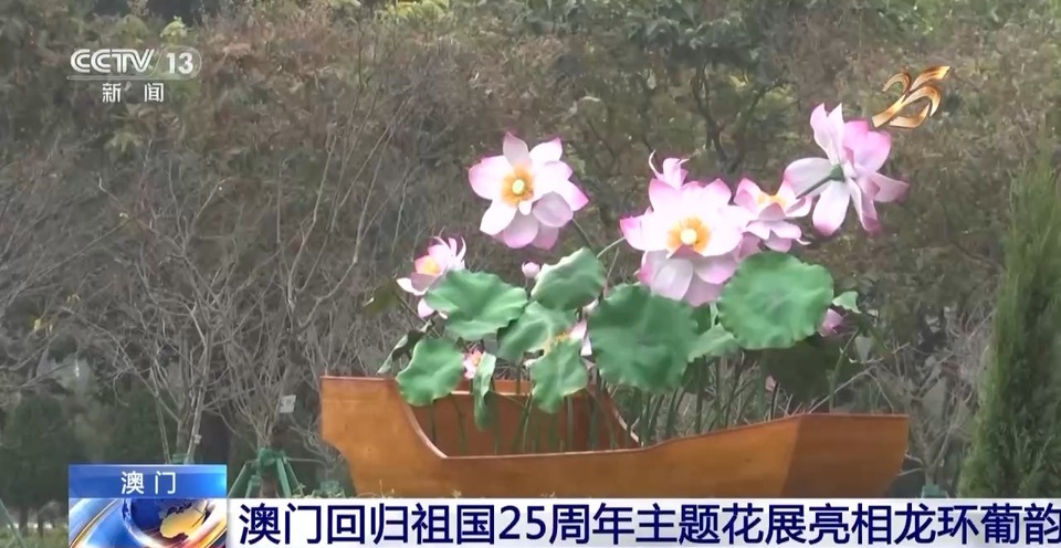 和我在澳门的街头走一走 感受多元文化魅力