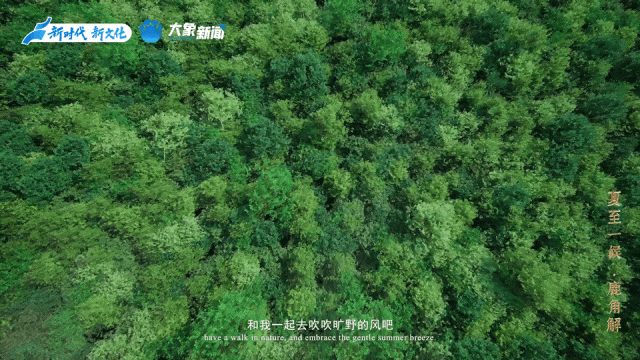 何以中国丨中国节气·夏至