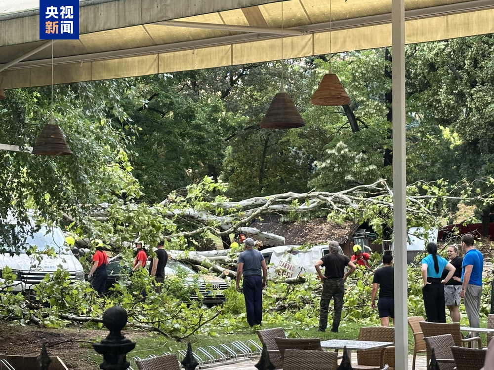 匈牙利遭强风暴袭击 仍有5万余户家庭停电