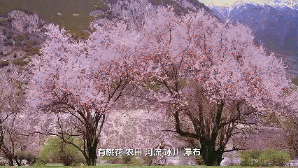 遇见高原的城｜次吉卓嘎带你游嘉黎