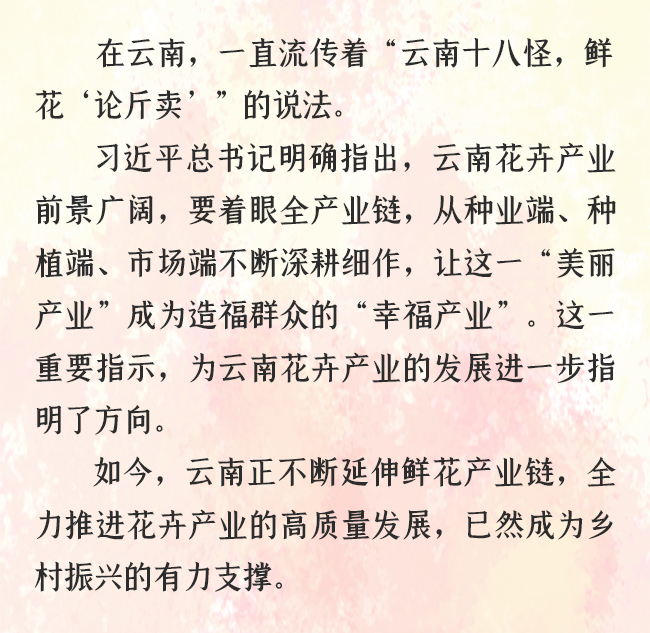 让“美丽产业”成为造福群众的“幸福产业”