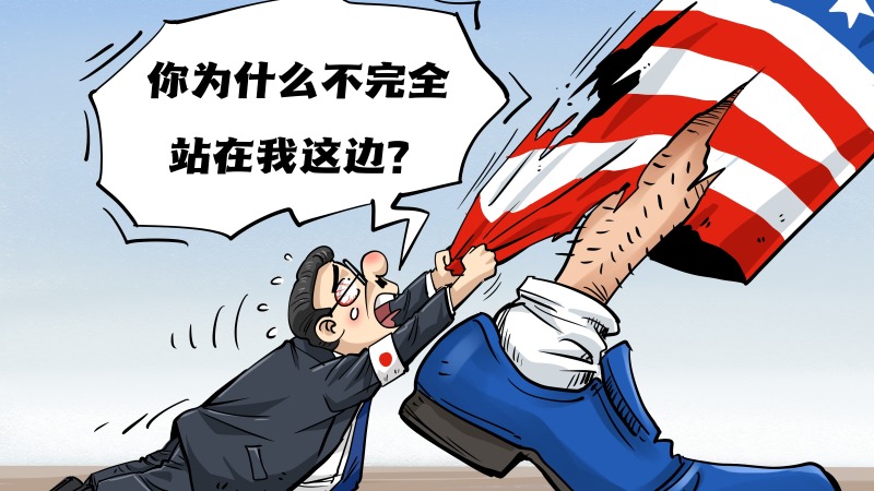 【国际漫评】一厢情愿