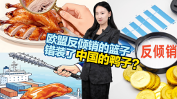 欧盟反倾销的篮子，错装了中国的鸭子