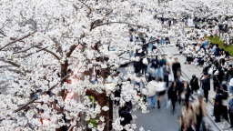 应对“过度旅游”，日本多地开征“住宿税”