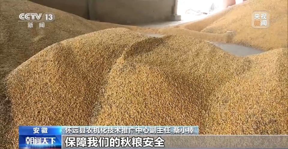“收好粮”才能“卖好价” 机械助力粮食抢收新“丰”景