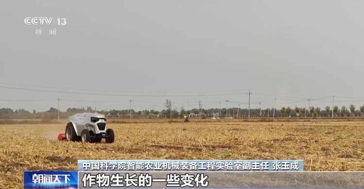 你听说过“伏羲农场”吗？这种小农场里可藏着大智慧