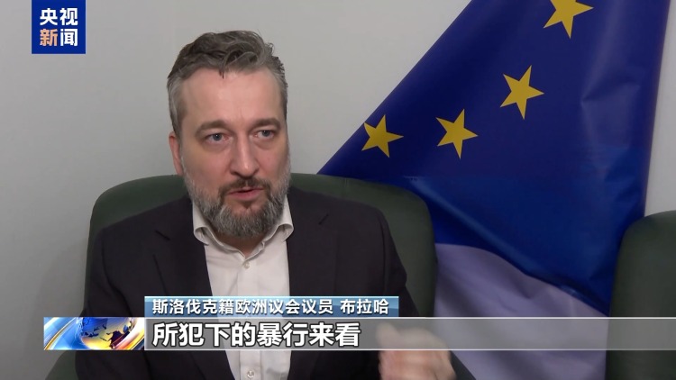 视频丨国际人士：高市错误言论违反国际法和国际秩序准则