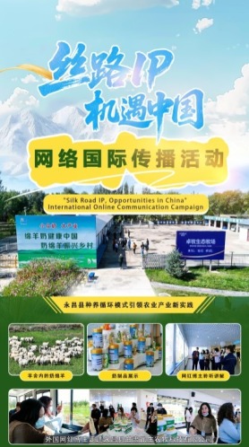 “丝路IP 机遇中国”｜永昌县种养循环模式引领农业产业新实践_fororder_4111099849f14662818a756b7620ad33.1242x2220.414x740