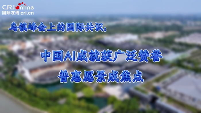 乌镇峰会的国际共识：中国AI成就获赞誉 普惠愿景成焦点