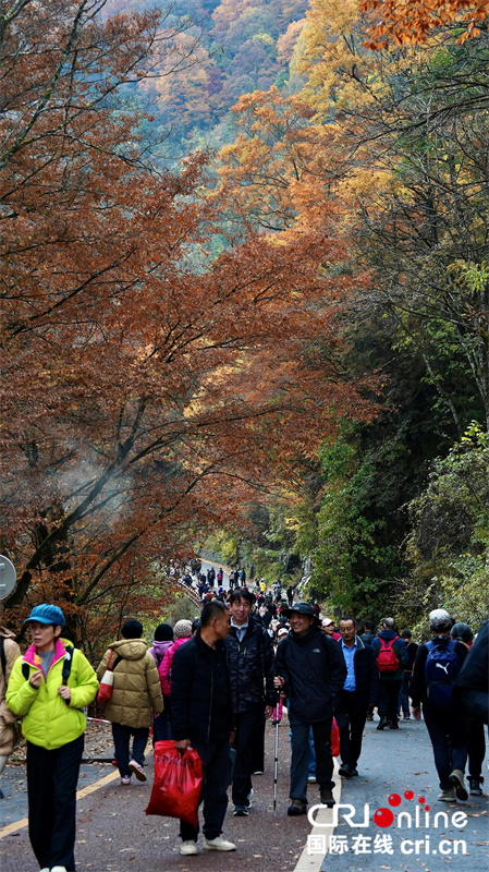 台湾自媒体人点赞四川光雾山绝美秋色（两岸关系）_fororder_5