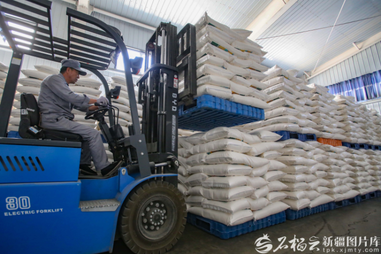 奋进的新疆·我们的“十四五”丨从“自己吃饱”到供给国家