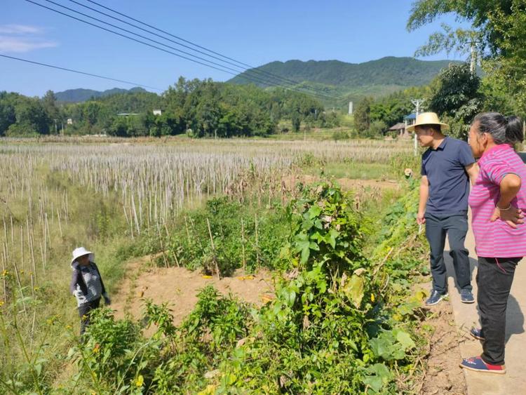 瞰山城·人民日报区县行 “长心小院”扮靓“和美乡村”